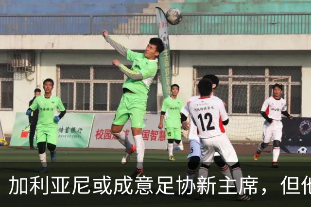 加利亚尼或成意足协新主席，但他兴趣不高